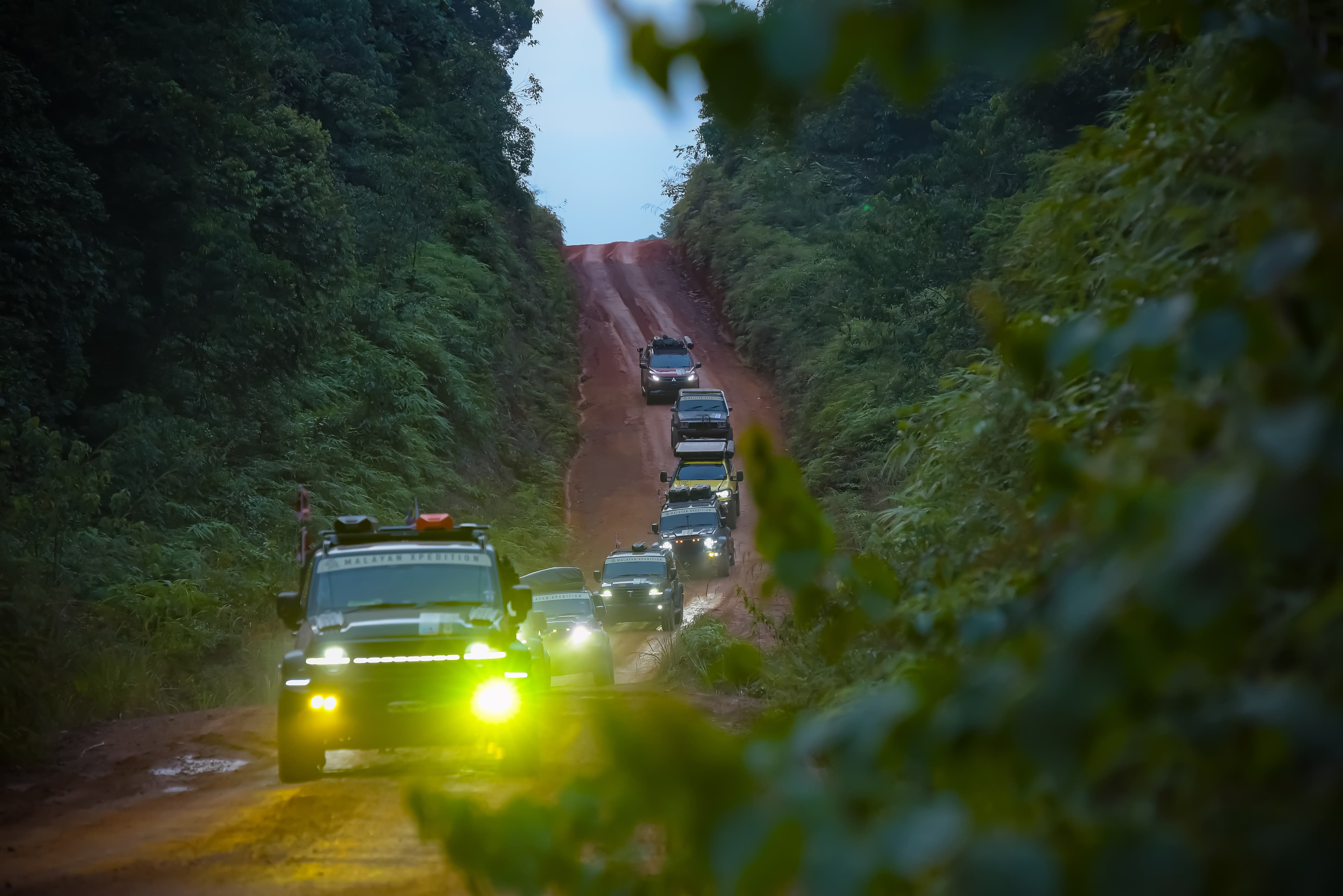 A convoy of overland vehicles travelling along a forest road